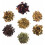 Sandy Leaf Farm Ultimate Gin Maker's Kit | Flavoured Gin Kit 3