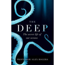 The Deep