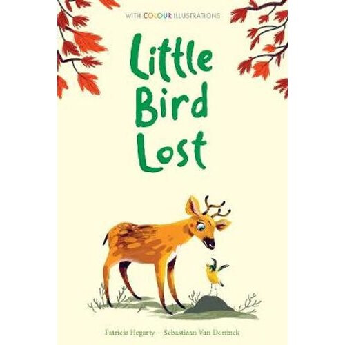 Little Bird Lost