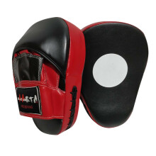 Aasta Boxing Focus Pads Hook & Jab Mitts Thai Kick MMA Training Punch