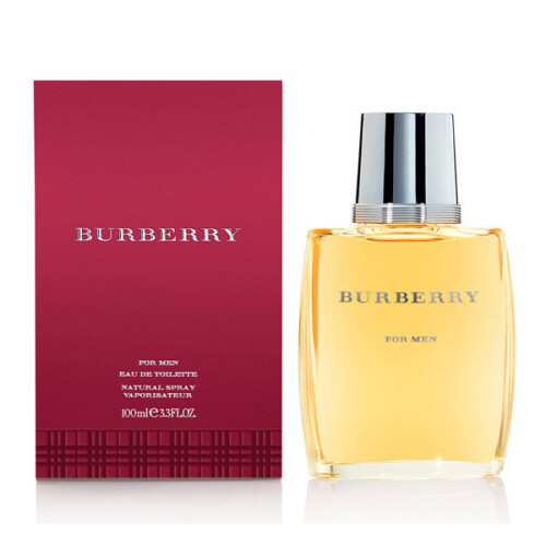 Burberry Burberry for Men Eau de Toilette Spray 100ml