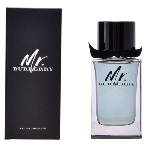 Burberry Burberry Mr. Burberry 100ml EDT Spray 2