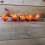 Samuel Alexander 270cm (9ft) x 20cm Samuel Alexander Pine Christmas Garland Plain Green 4