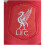 Liverpool FC Liverpool FC Mini Bear Plush Toy 5