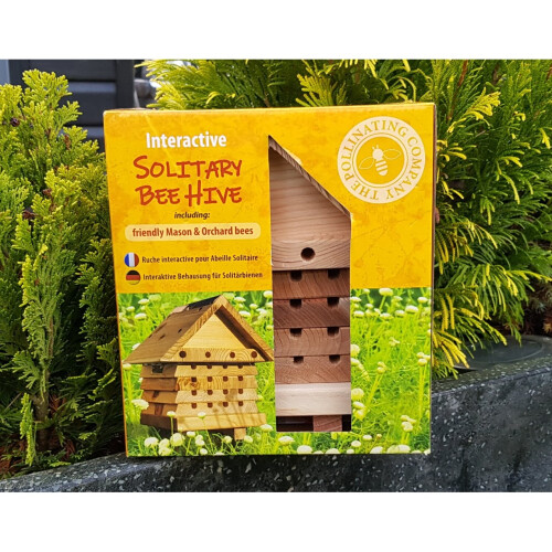 Flip Top Solitary Beehive 2