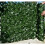 (3m x 1.5m) Best Artificial English Ivy Leaf Screening 1