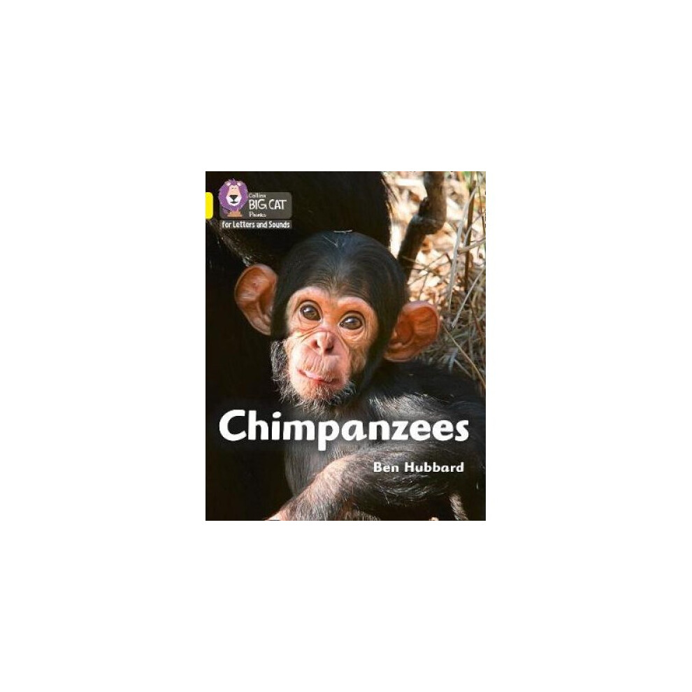 Chimpanzees