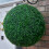 (50cm) Best Artificial Boxwood Topiary Balls 2