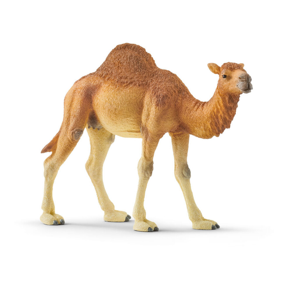 Schleich Wild Life Dromedary Toy Figure