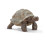 Schleich Wild Life Giant Tortoise Toy Figure 1