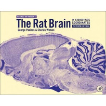 Rat Brain in Stereotaxic Coordinates by George Paxinos