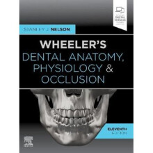 Wheeler's Dental Anatomy, Physiology and Occlusion