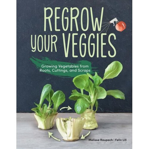 Regrow Your Veggies