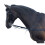 Whitaker Elasticated Side Reins 1