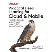 Practical Deep Learning for Cloud and Mobile