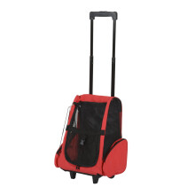 PawHut Pet Travel Backpack