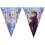 Disney Frozen Frozen 2 Triangle Flags Banner 1