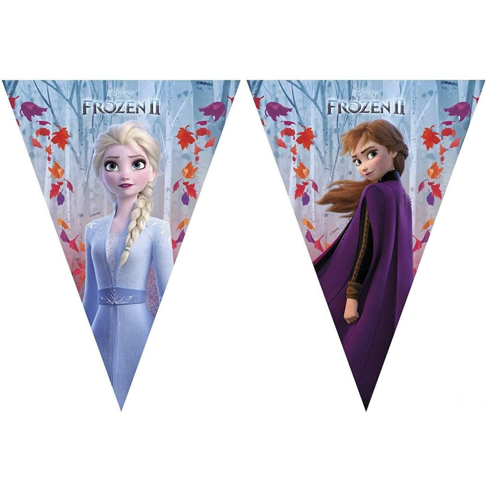 Frozen 2 Triangle Flags Banner