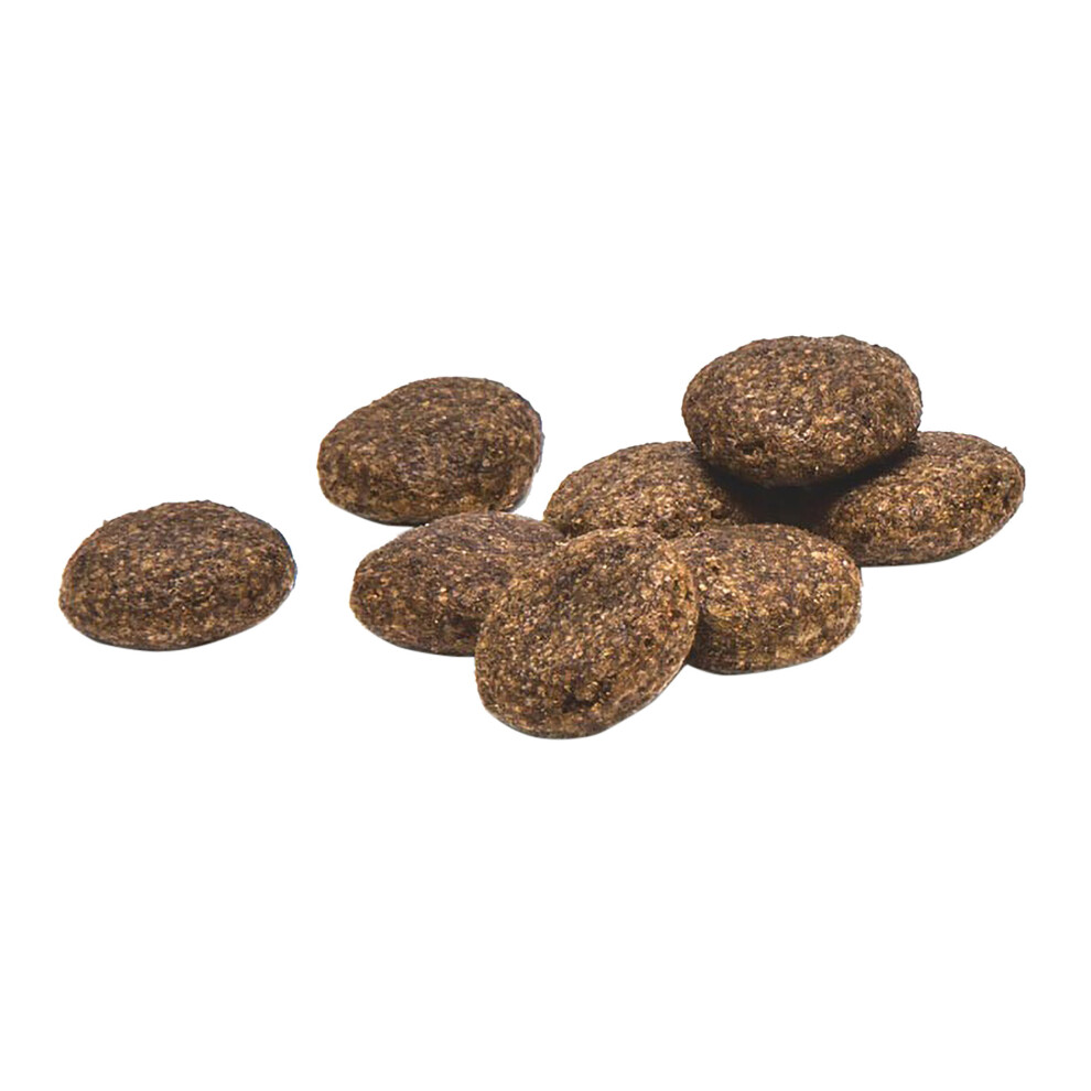 Proden Plaqueoff Plaqueoff Dental Bites Cats