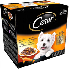 Cesar Deliciously Fresh Dog Pouches Favourites In Sauce 12x100g (Pack of 4)