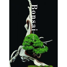 Bonsai by Kunio Kobayashi
