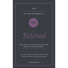 Connell Short Guide To Ian McEwans Atonement by Tessa Roynon