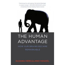 The Human Advantage  How Our Brains Became Remarkable by Suzana Herculano Houzel