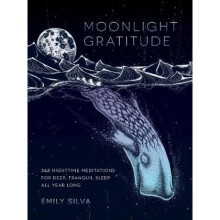 Moonlight Gratitude by Emily Silva