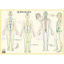 Qi Jing Ba Mai by Jan Van Baarle