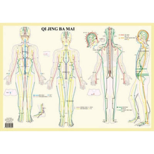 Qi Jing Ba Mai by Jan Van Baarle