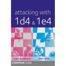 Attacking with 1d4 amp 1e4 by Angus Dunnington