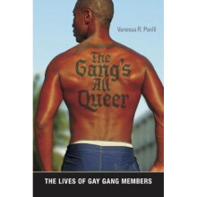 The Gangs All Queer  The Lives of Gay Gang Members by Vanessa R Panfil