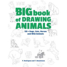 Big Book of Drawing Animals 90 Dogs Cats Horses and Wild Animals by P Rodriguez & T Beaudenon