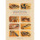 Sharpening Woodworking Tools How to Achieve the Sharpest Cutting Edges with Traditional Techniques b 1