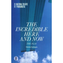 The Incredible Here and Now by Felicity Castagna