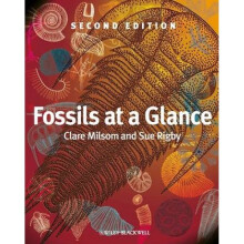 Fossils at a Glance by Clare Milsom