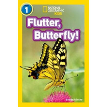 Flutter Butterfly