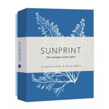 Sunprint Notecards by Princeton Architectural Press