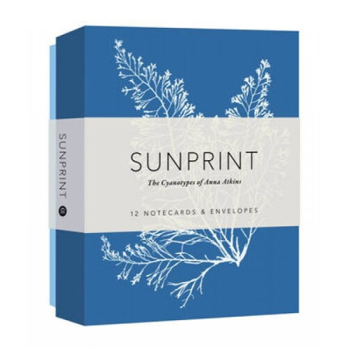 Sunprint Notecards by Princeton Architectural Press