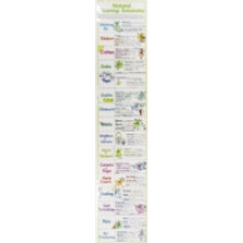 Natural Cleaning Solutions Chart by Liz Cook