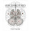 Neural Control of Speech by Frank H Guenther 1