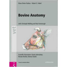 Bovine Anatomy An Illustrated Text Second Edition by Klaus Dieter Budras & Robert E Habel & Christ