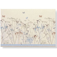 Note Card Butterflies by Created by Peter Pauper Press