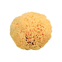 Saro Natural Sponge