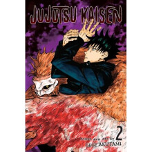 Jujutsu Kaisen, Vol. 2 - Book