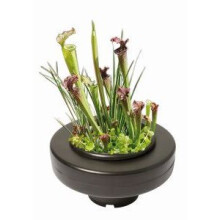 SuperFish Floating Pond Plant Basket 22cm- 696260