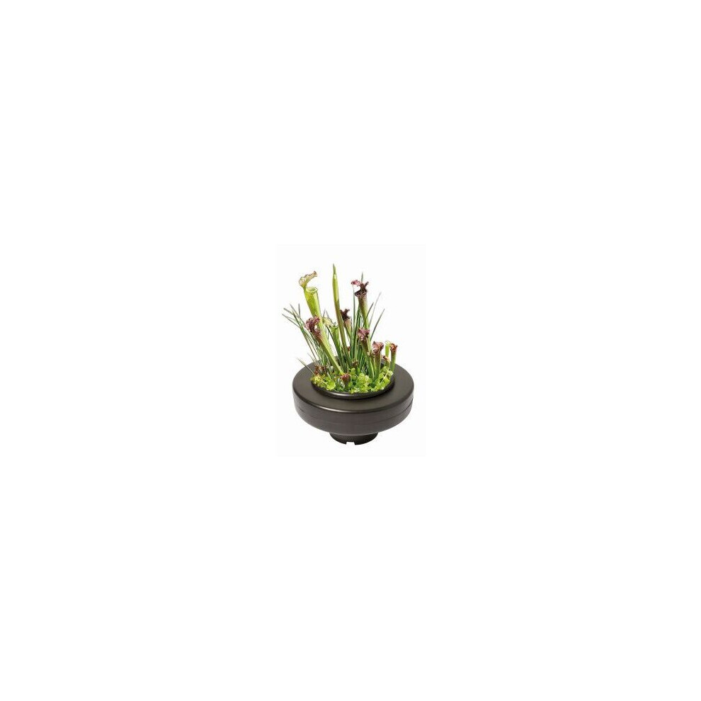 Superfish Floating Pond Plant Basket 22Cm- 696260
