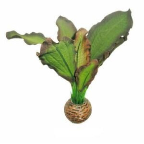 SuperFish SuperFish Easy Plants Foreground 13cm - 3 - 515175