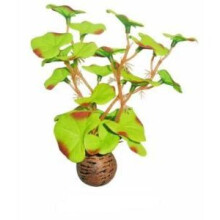 SuperFish Easy Plants Foreground 13cm - 1 - 515165