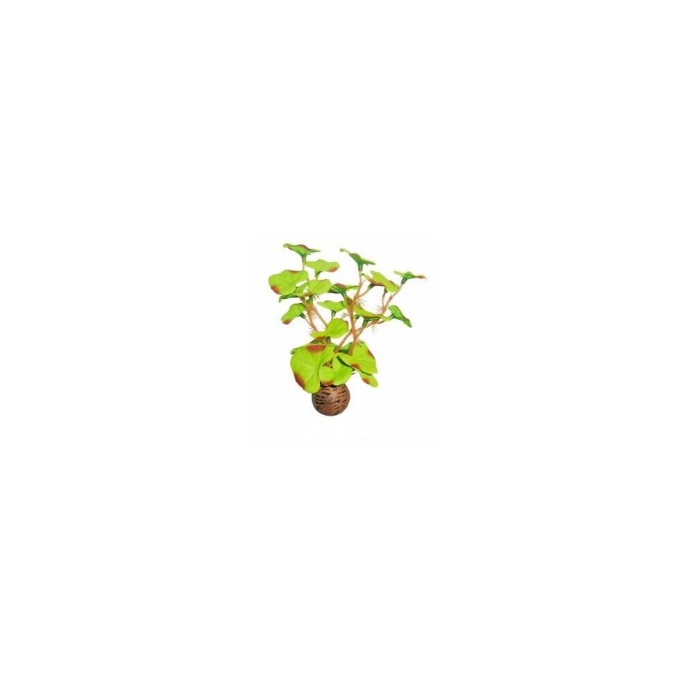 SuperFish Easy Plants Foreground 13cm - 1 - 515165